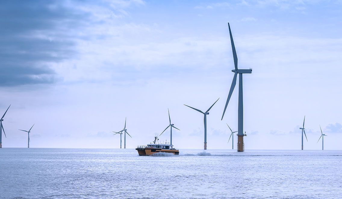 Energy & Sustainability