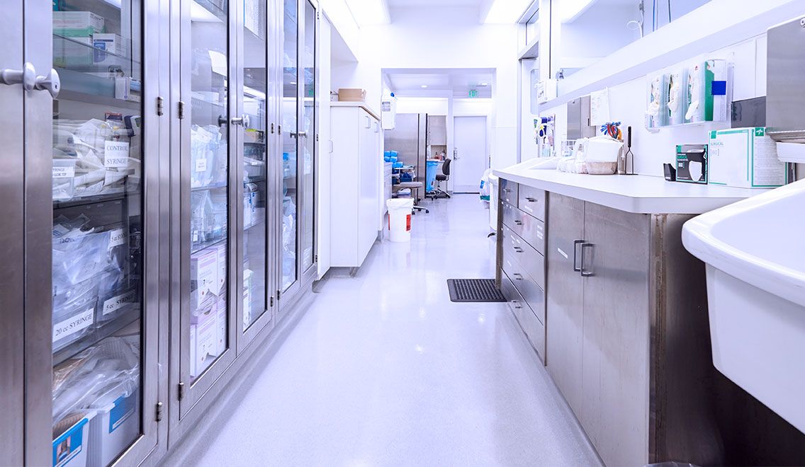 Pharmaceutical & Life Sciences