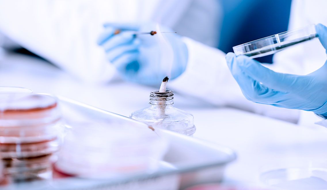 Pharmaceutical & Life Sciences